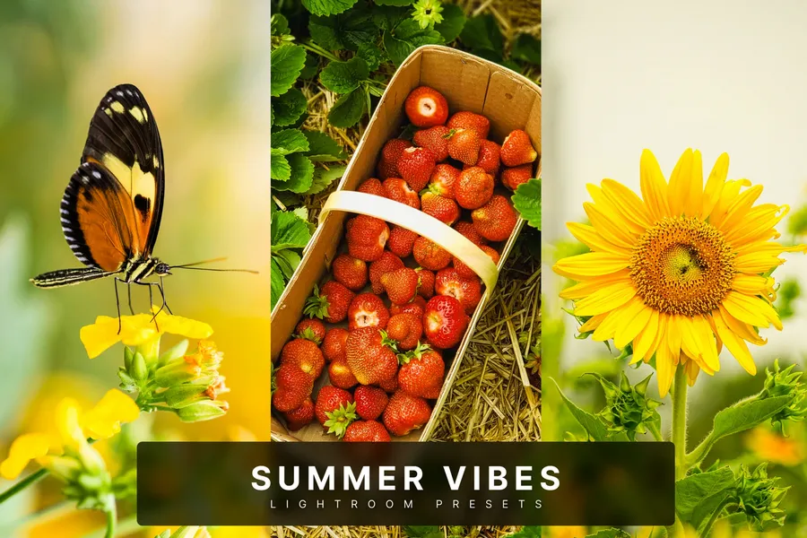 Summer beach vibes lightroom presets | download free design addon Summer beach vibes lightroom presets design add on for photoshop procreate illustrator and more
