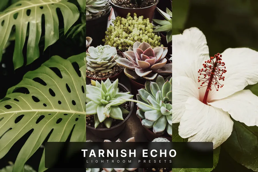 Tarnish echo lightroom presets | download free design addon Tarnish echo lightroom presets design add on for photoshop procreate illustrator and more