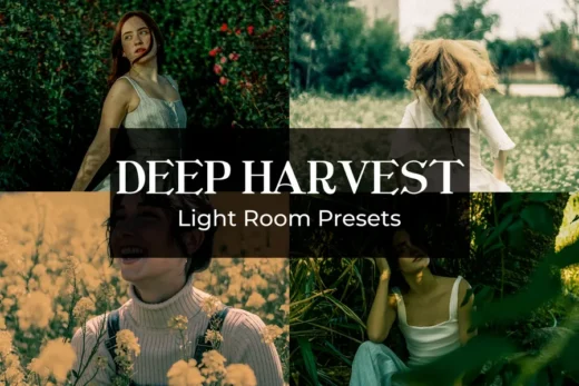 Deep harvest preset wz 2025 06 30 19 11 56 utc design add on for photoshop procreate illustrator and more