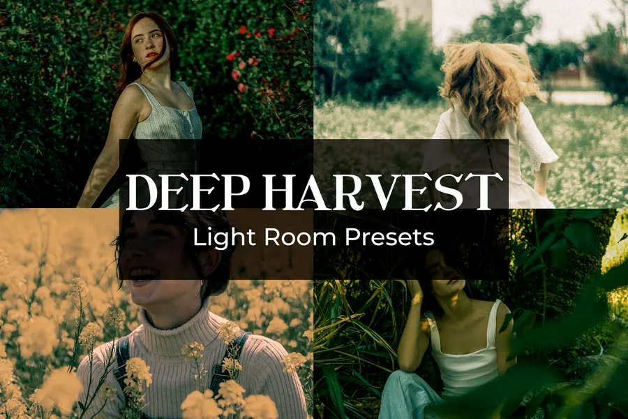Deepharvestpresetwz20250630191156utc | download free design addon Deep harvest preset wz 2025 06 30 19 11 56 utc design add on for photoshop procreate illustrator and more