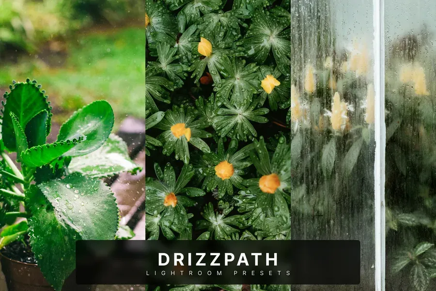 Drizzpathlightroompresets20250630190755utc | download free design addon Drizzpath lightroom presets 2025 06 30 19 07 55 utc design add on for photoshop procreate illustrator and more