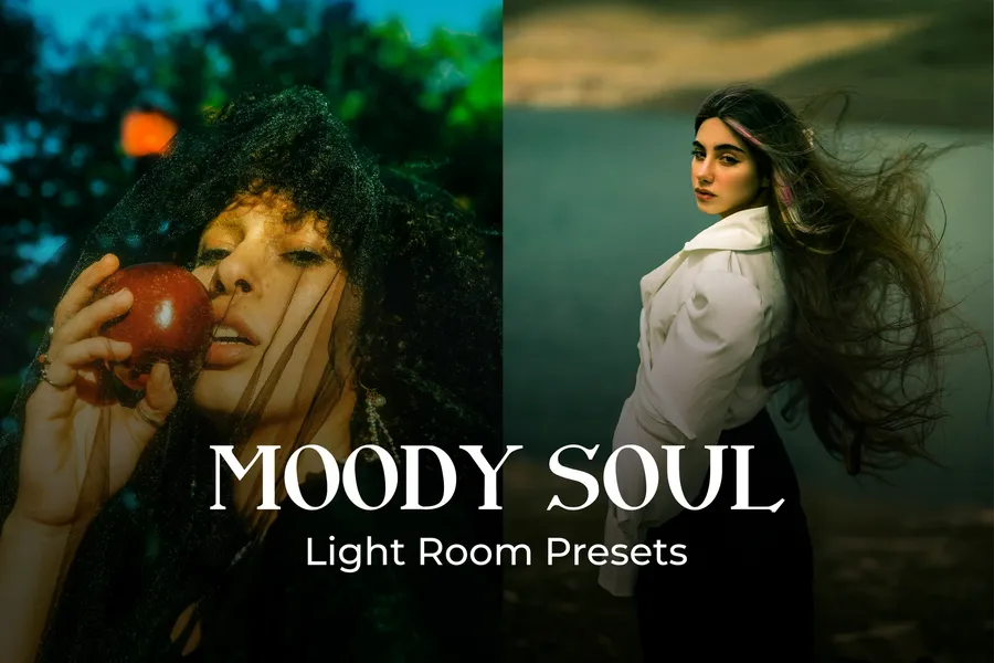 Moodysoulpresetwz20250630192059utc | download free design addon Moody soul preset wz 2025 06 30 19 20 59 utc design add on for photoshop procreate illustrator and more