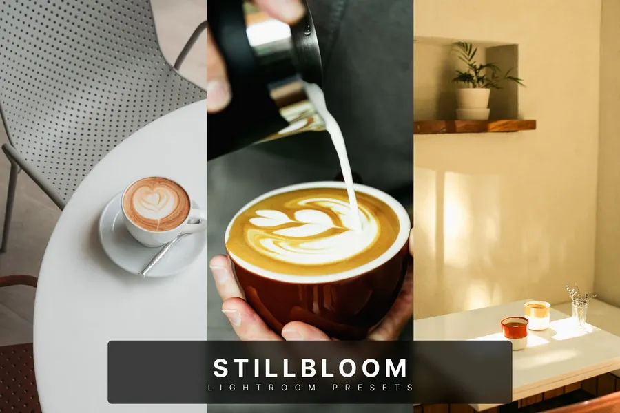 Stillbloomlightroompresets20250630193303utc | download free design addon Stillbloom lightroom presets 2025 06 30 19 33 03 utc design add on for photoshop procreate illustrator and more