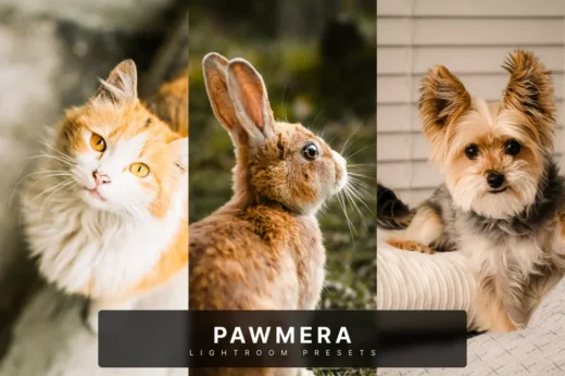 Pawmera Lightroom Presets