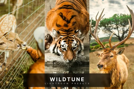 Wildtune Lightroom Presets