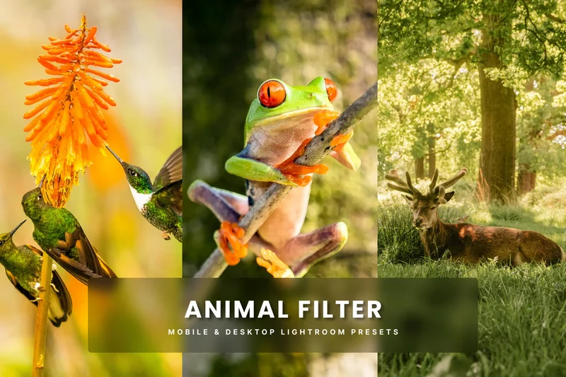 Animal filter lightroom presets 2025 10 28 22 13 27 utc design add on for photoshop procreate illustrator and more