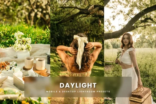 Daylight Lightroom Presets