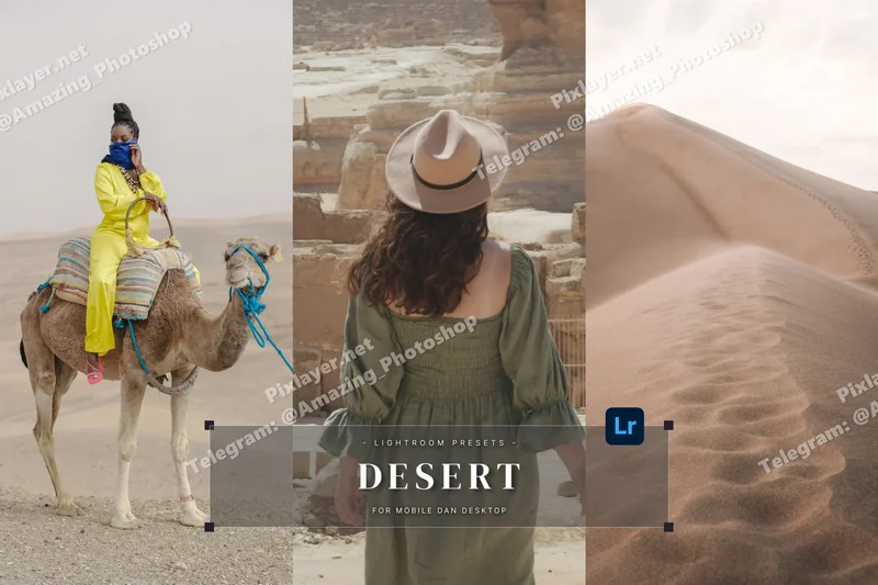 Desert lightroom presets 2025 10 15 18 21 28 utc design add on for photoshop procreate illustrator and more