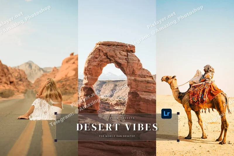 Desert vibes lightroom presets 2025 09 30 20 05 32 utc design add on for photoshop procreate illustrator and more
