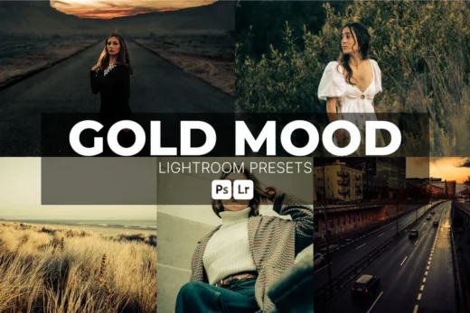 Gold mood lightroom presets 2025 10 23 23 06 53 utc design add on for photoshop procreate illustrator and more