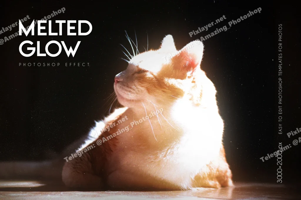 Melted glow photo effect 2025 10 17 01 59 22 utc design add on for photoshop procreate illustrator and more