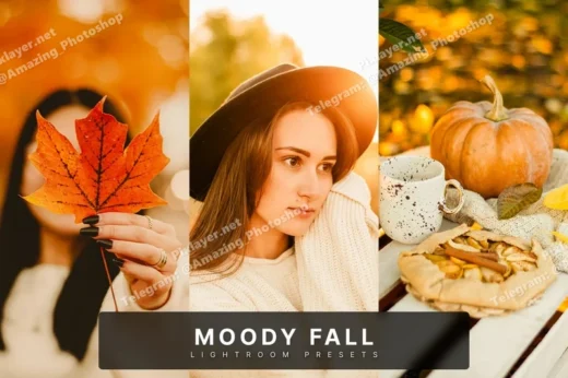 Moody fall lightroom presets 2025 09 30 21 03 01 utc design add on for photoshop procreate illustrator and more