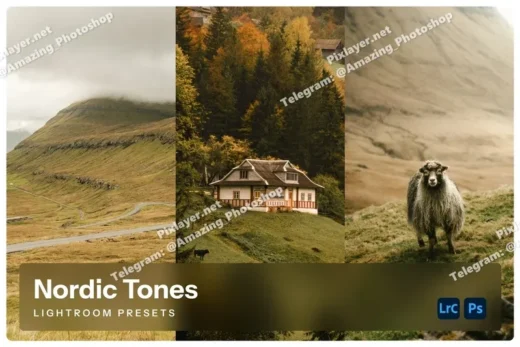 Nordic tones lightroom presets 2025 10 11 01 10 47 utc design add on for photoshop procreate illustrator and more