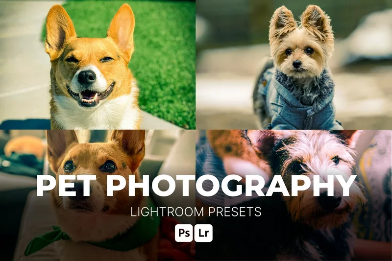 Pet photography lightroom presets 2025 10 02 19 53 40 utc design add on for photoshop procreate illustrator and more