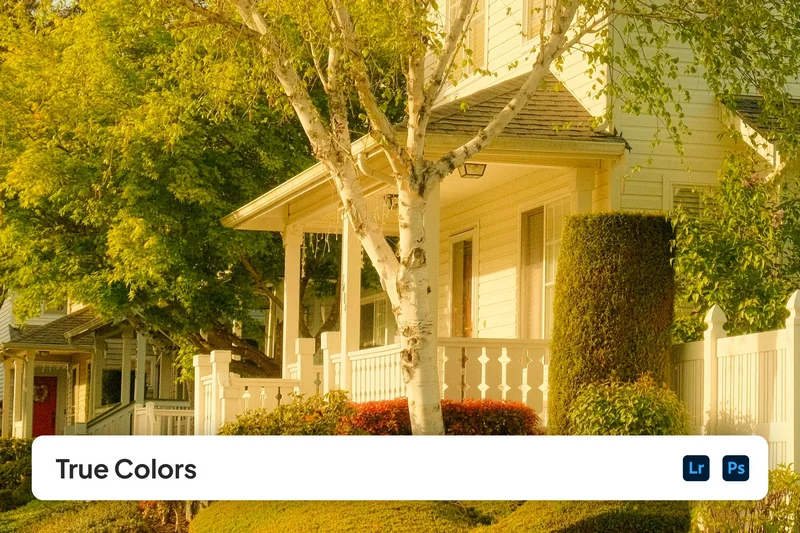 True colors lightroom presets 2025 10 23 23 28 01 utc design add on for photoshop procreate illustrator and more